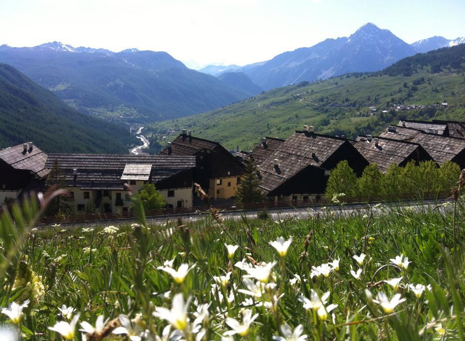 La Grange Daire Sauze di Cesana Dış mekan fotoğraf